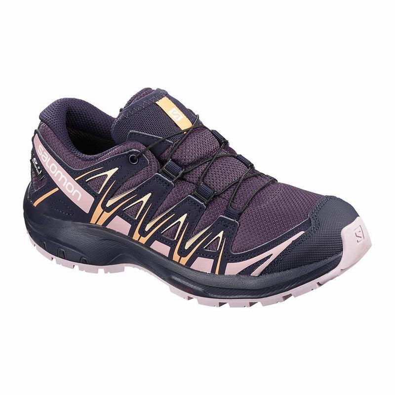 Salomon Singapore Kids Hiking Shoes - XA PRO 3D CLIMASALOMON™ WATERPROOF Purple/Blue | 28391-ECLM